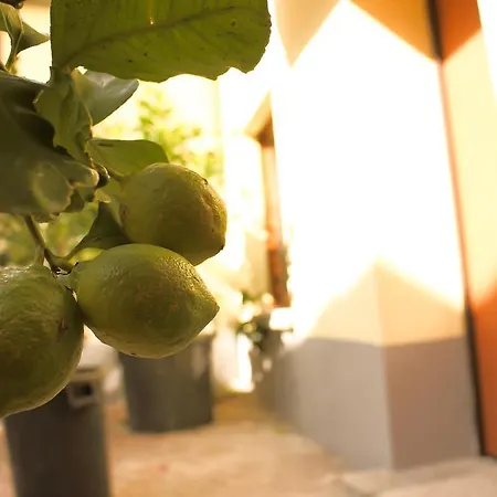 Ferienhaus Il Falco *